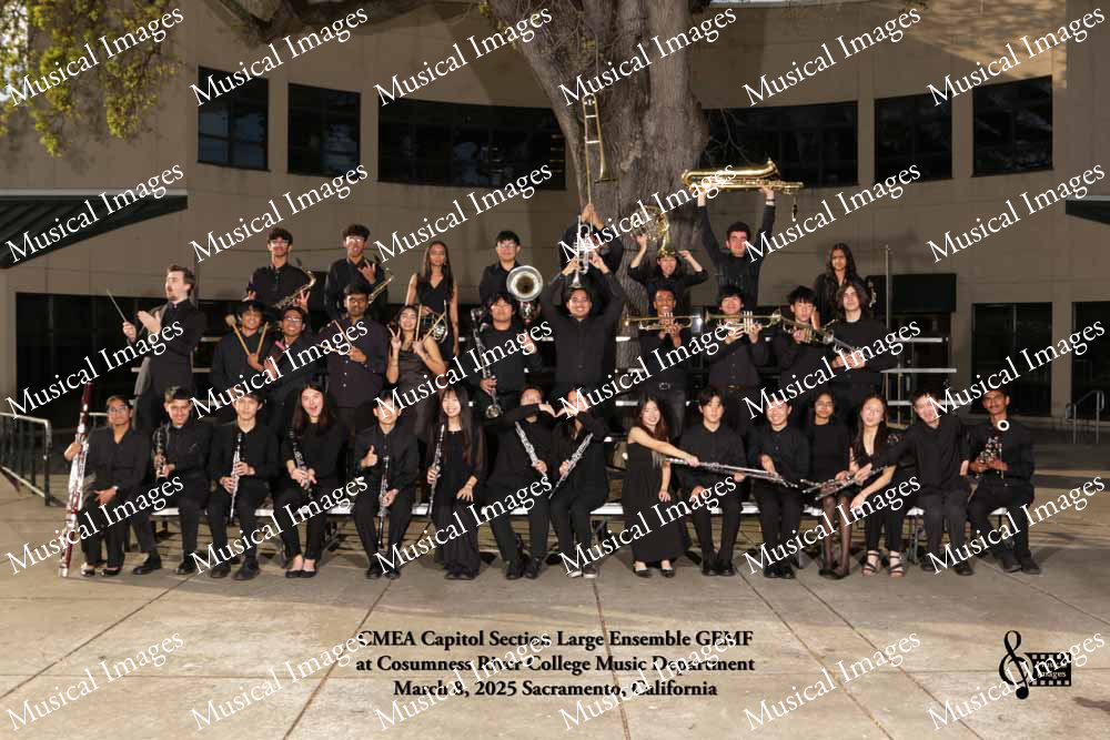 Musical Images